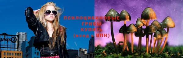 дмт Аркадак