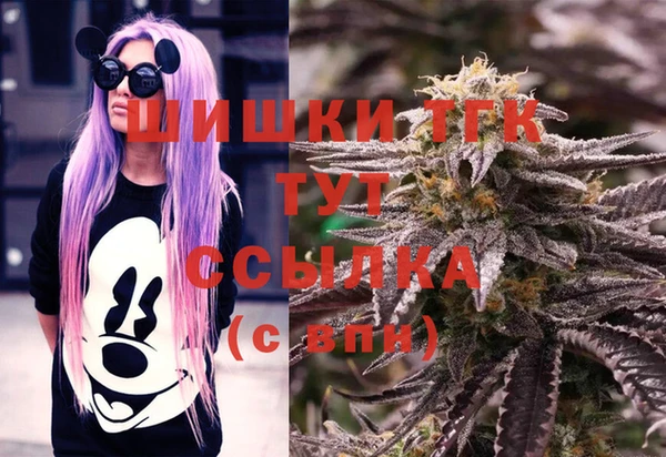 дмт Аркадак
