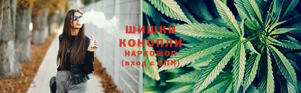 дмт Аркадак