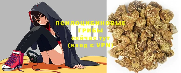 хмурый Кукмор
