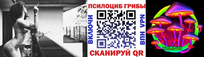 Псилоцибиновые грибы Psilocybe hydra Королёв